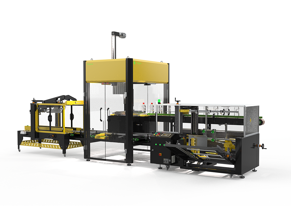 Double Head Robot Carton Filling Line