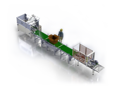 Single Personnel Box Filling Line